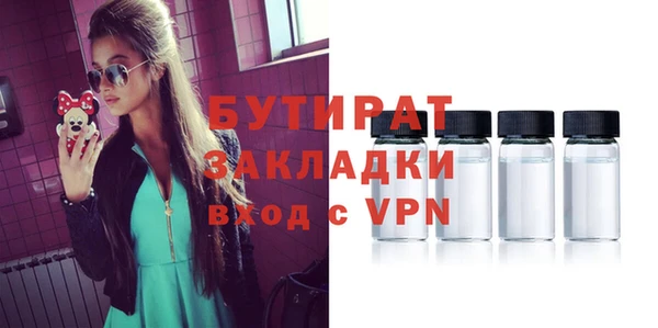 индика Няндома