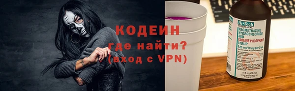 индика Няндома