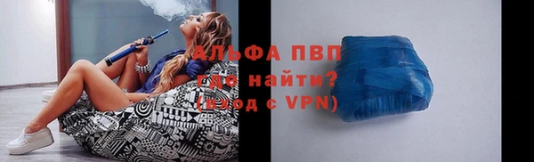 индика Няндома