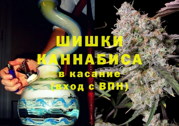 индика Няндома