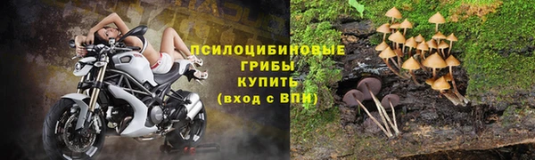индика Няндома