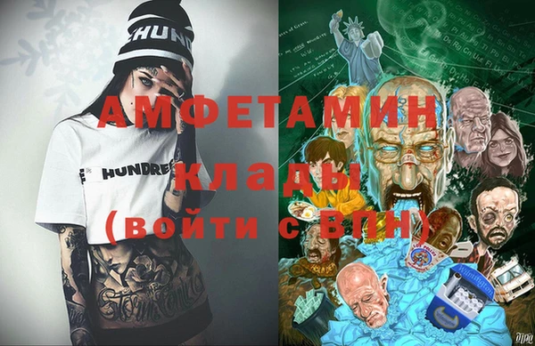 индика Няндома