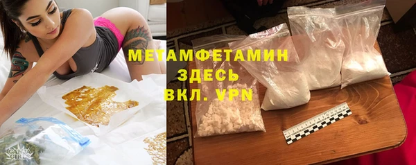 индика Няндома