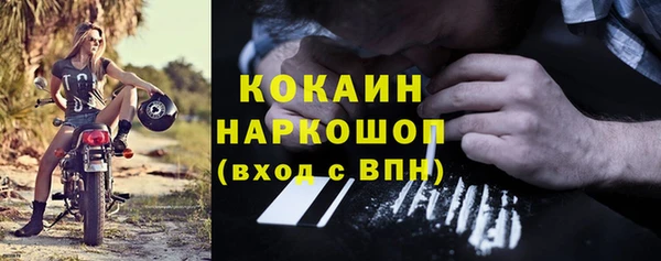 индика Няндома
