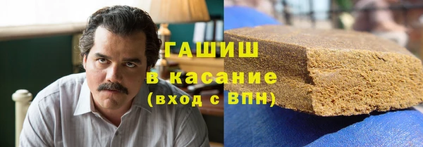 индика Няндома