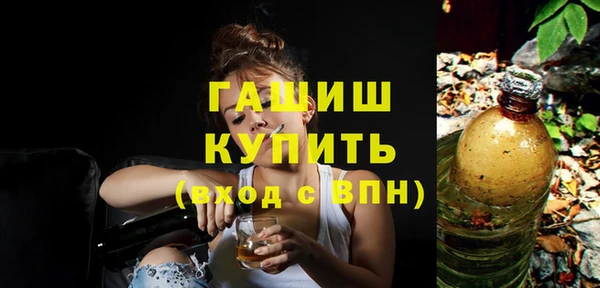 индика Няндома