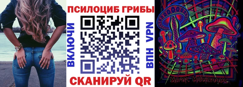Галлюциногенные грибы Psilocybine cubensis Пустошка